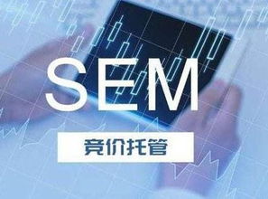 竞价广告关键词出价很高还是没有流量怎么办