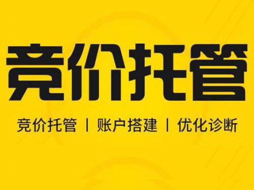 竞价托管服务费用高该怎么办?
