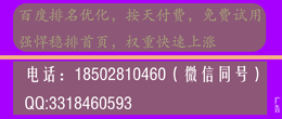 SEO诊断,收录分析