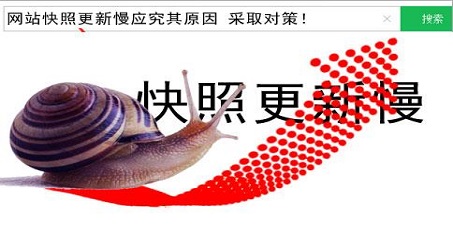 seo优化之如何让网站的快照更新时间更快呢？